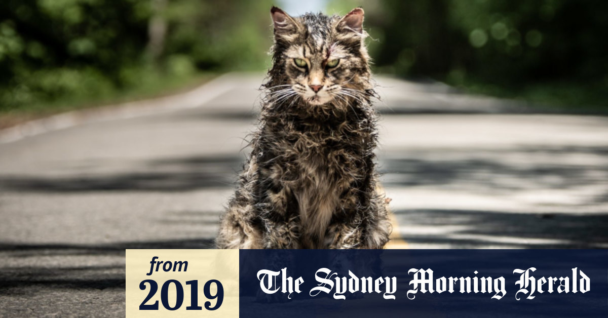 Pet sematary cat 2019 2025
